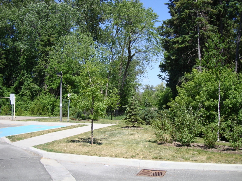 DCECC195- 22